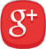 Google Plus Icon